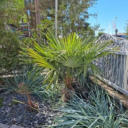 Apartment Ambre Mare Bursztynowe *