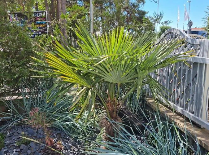 Apartamento Ambre Mare Bursztynowe *